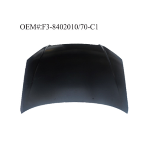 Replacement For BYD Body Metal Parts