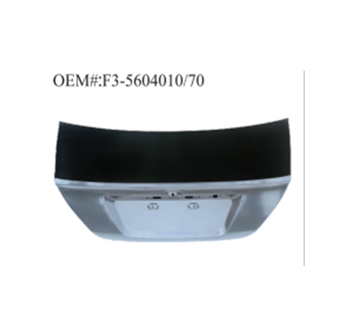 Replacement For BYD Body Metal Parts